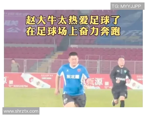 东北地区足球明星的崛起与成就探讨