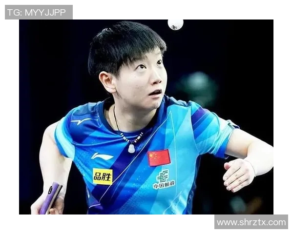 杭州排球队速度之美大满贯点评展现竞技魅力与团队协作